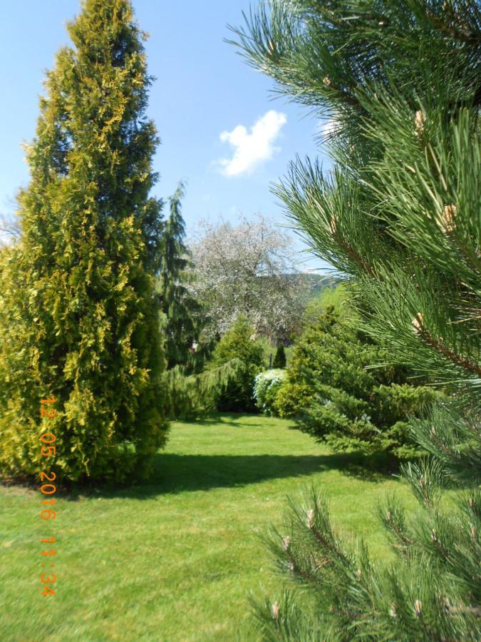 Agroturystyka Zielony Ogrod Scinawka Srednia Екстер'єр фото